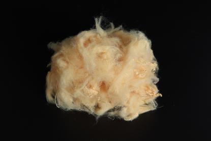 الصفراء الصلبة PSF