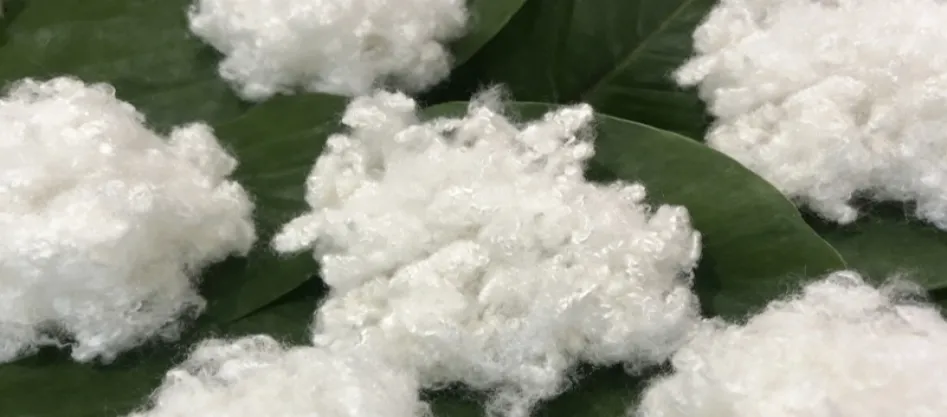 هل البوليستر ألياف صناعية؟ شيء تحتاج إلى معرفته