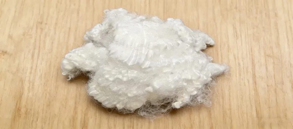 ما هو الألياف المترافقة العذرية؟